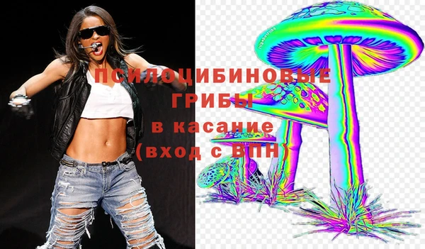сатива Алексеевка