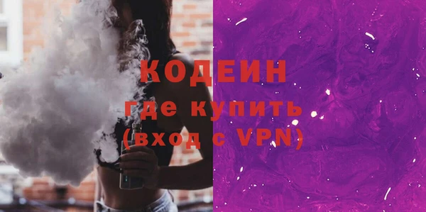 гашик Алексин
