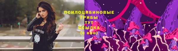 бошки Алзамай