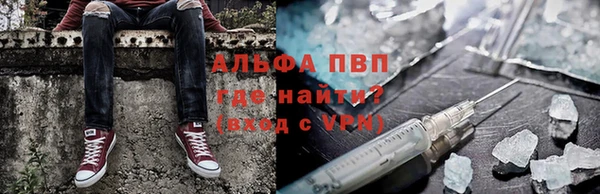 гашик Алексин