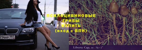гашик Алексин
