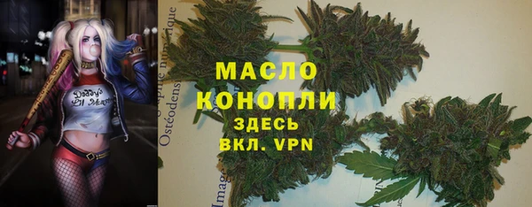гашик Алексин