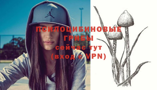 бошки Алзамай