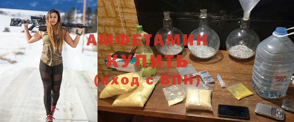 сатива Алексеевка