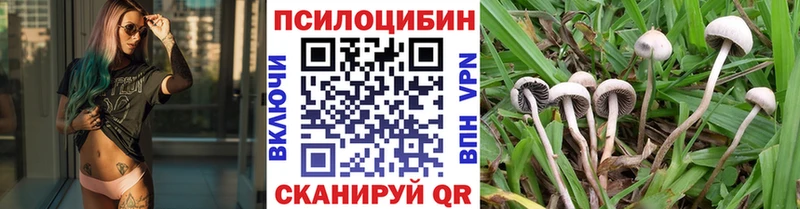 Галлюциногенные грибы MAGIC MUSHROOMS  ссылка на мегу зеркало  Пустошка 